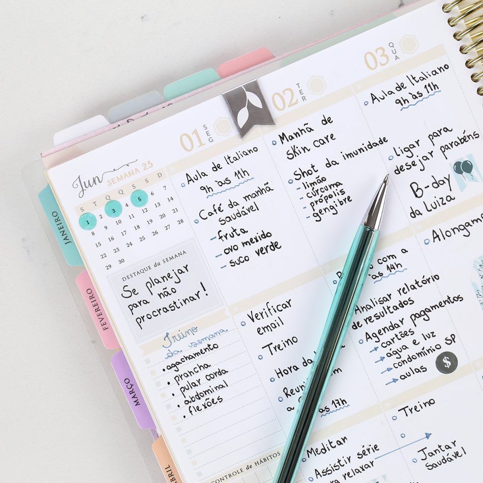 Daily Planner, caneta, planejamento pessoal