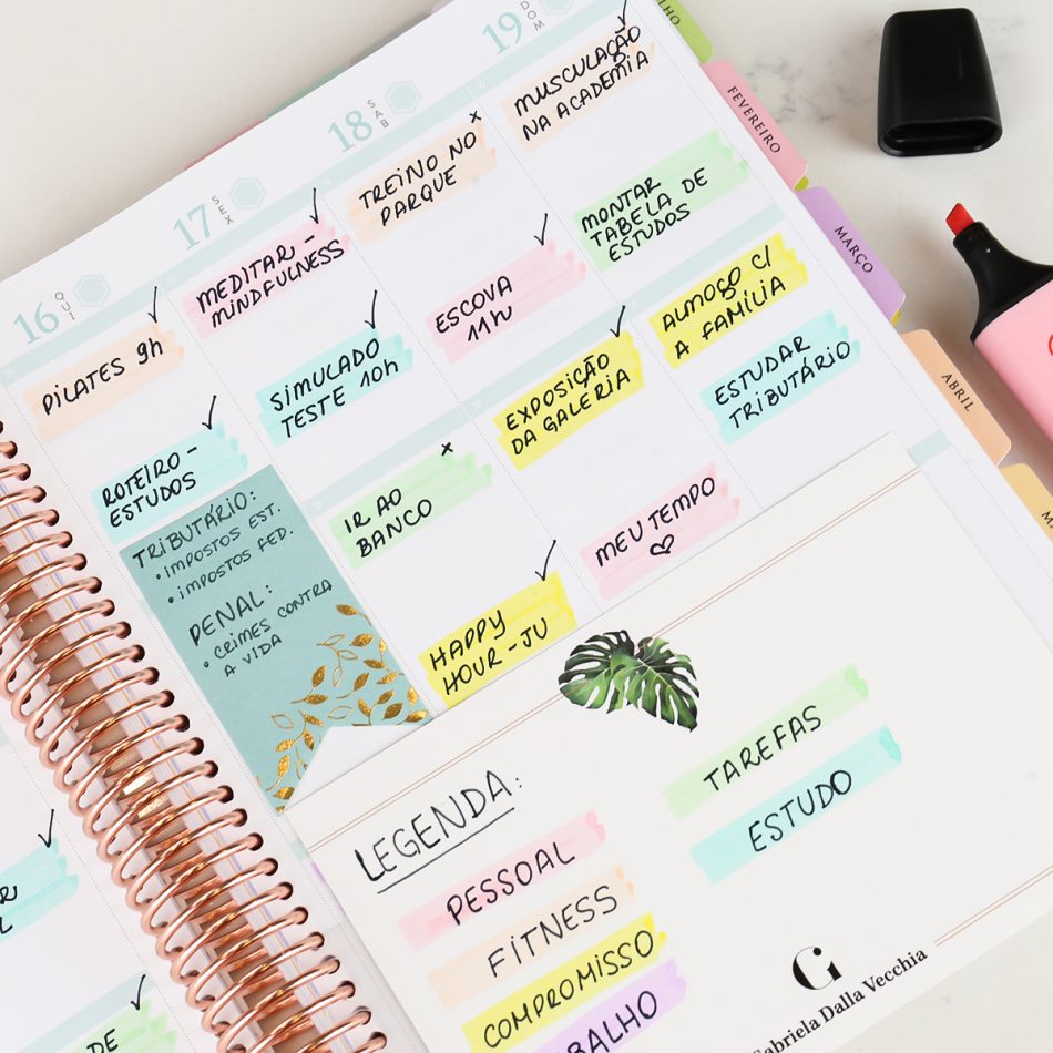 Daily Planner, marcador de textos, cores, planejamento pessoal